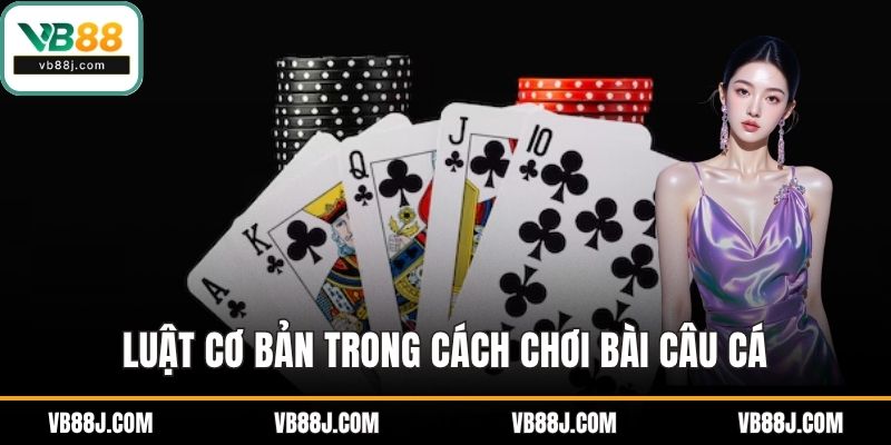 Cách Chơi Bài Câu Cá Chi Tiết Cho Thành Viên Mới Tại VB88 2 Luật cơ bản trong cách chơi bài câu cá