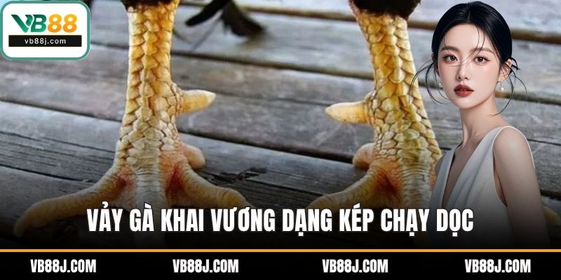 Vảy Gà Khai Vương Là Gì? Cách Nhận Biết Chính Xác Tại VB88 2 Vảy gà khai vương dạng kép chạy dọc